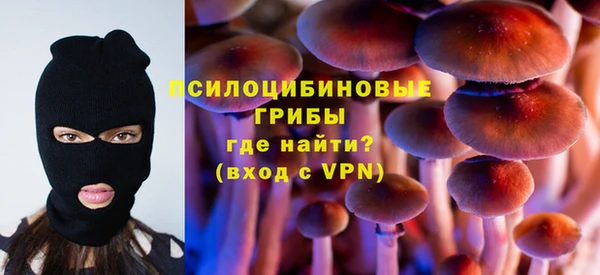 гашик Алексин