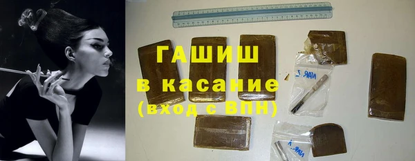 гашик Алексин