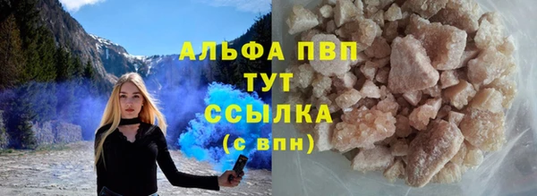 гашик Алексин