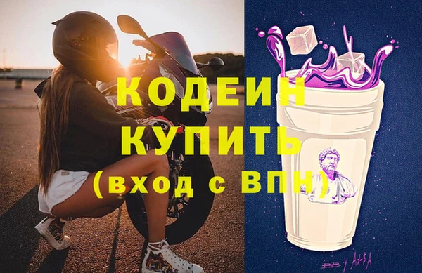 гашик Алексин