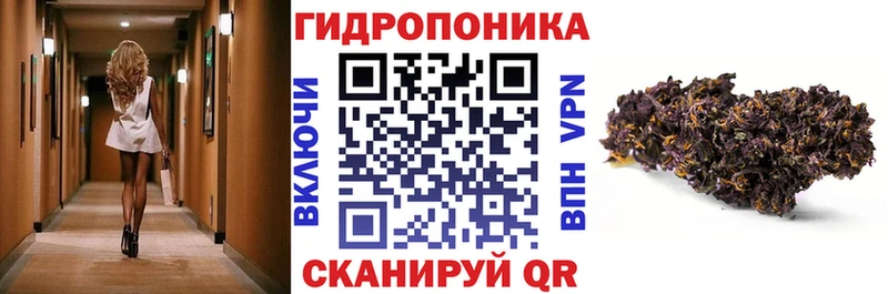 Конопля гибрид  купить   ОМГ ОМГ как зайти  Миньяр 
